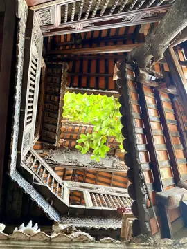 Tuyệt đối điện ảnh  .. 🏠 Bảo Tàng Y Học Cổ Truyền 📍CS1: 41 Hoàng Dư Khương, P12, quận 10, TP.HCM ⏰:Mở cửa từ thứ 2 đến Chủ Nhật lúc 8h30- 17h 🏠Bảo Tàng Dược Cổ Truyền 📍CS2: 26bis/1 Khu phố Trung, Phường Vĩnh Phú, Thị xã Thuận An, Tỉnh Bình Dương ⏰: Mở cửa thứ 7 hàng tuần từ 8h30-17h #fito #fitomuseum #baotang #baotangyhoccotruyen #mamnon #vietanh #bacsi #duocsi #thuoc #thaoduoc #healing #herbalmedicine #medicine #trend