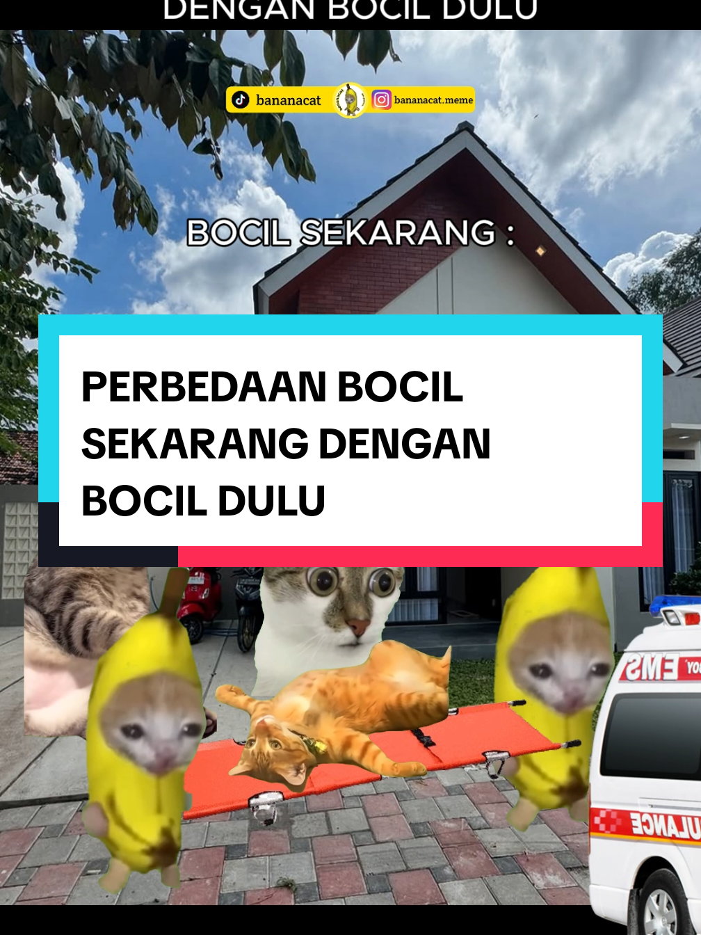 didikan VOC ngumpul semua yuk 😭 #fyp #viral  #memekucing #memecat #foryoupage #trending #bocil 