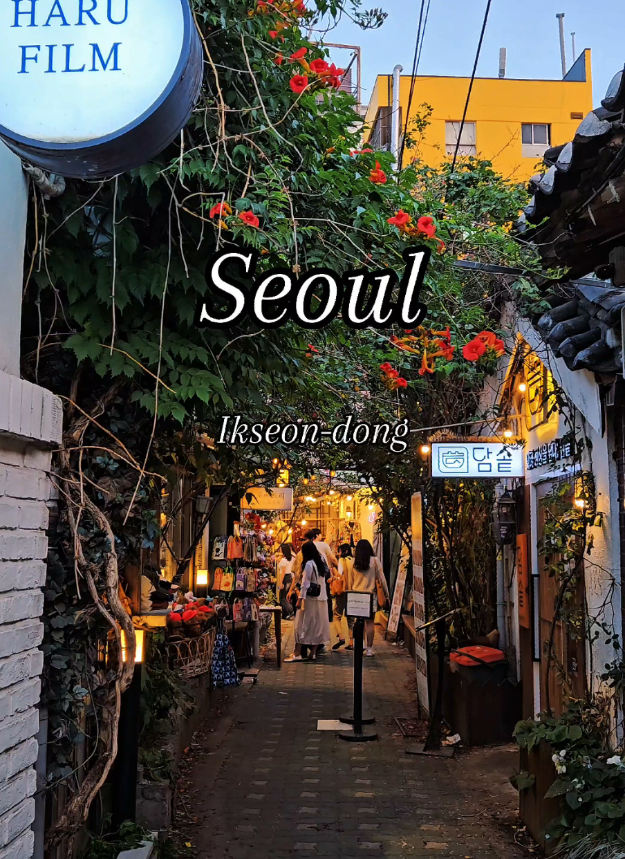 Ikseon-dong Hanok Street 🇰🇷 익선동 한옥거리 🇰🇷 #seoul #ikseondong #hanokvillage #익선동 #익선동한옥거리  