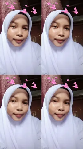 🕊️🤍