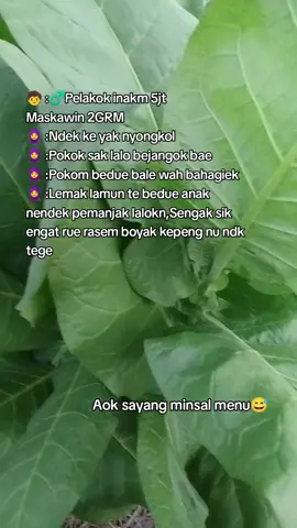 arak ke kire