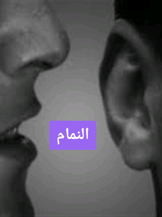 النمام#tik_tok #explore #trendingvideo #fyp #fouryoupage 