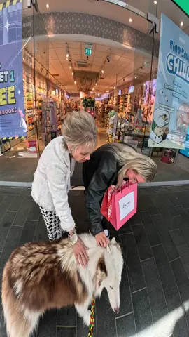 Interactions with my dog!!  #husky #viral #fyp #foryou #dogsoftiktok #famous #viola 