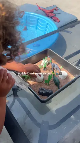 the morning started out overwhelming so I provided my toddler a new experience without spending money. That’s a mom win for sure 🏅 #MomsofTikTok #momlife #christiantiktok #sensorybin #toddlersoftiktok #boymom 