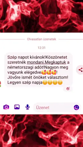 Köszönjük a megbízást! #németországimagyarok #németországbanélek #külföldimagyaratiktokon #külföldönélek #münchenimagyarok 