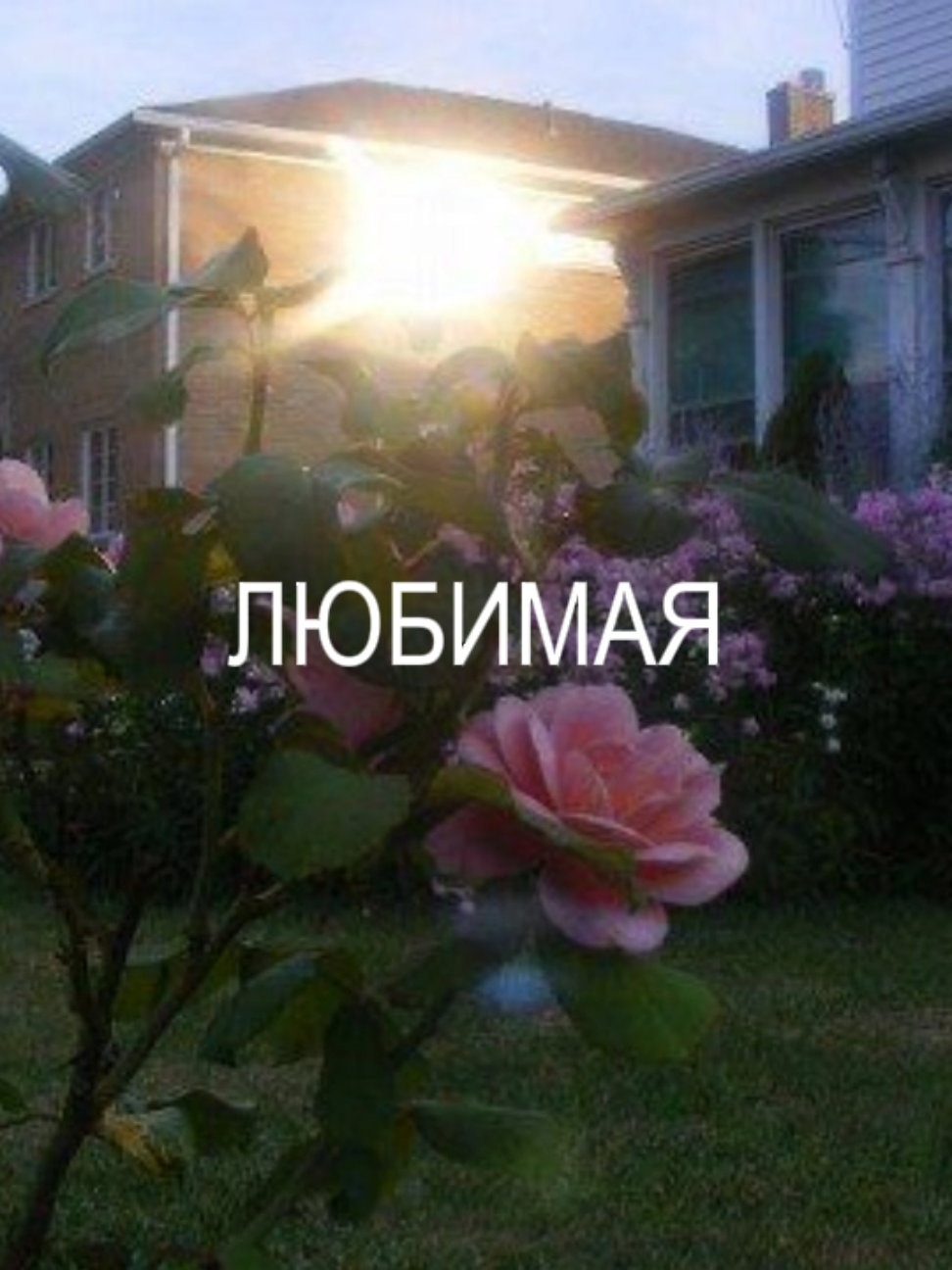 Ослепительна - ksb muzic | новый альбом прекрасен. @Вокальный коллектив КСБ #fyp #ksb #ksbmuzic #ксб #альбом #песня #ослепительна #рек 
