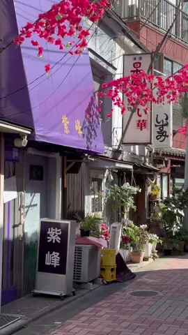 Tokyo snippets #Japan #Tokyo #japanlife #tokyolife #japanaesthetic #ghibli #studioghibli 
