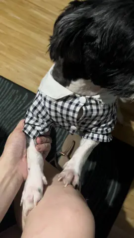 Wala na lang talagang magawa ang furmom 😂 #shihtzu #shihtzusoftiktok #diva #dogsoftiktok #dog #doglover #fyp 