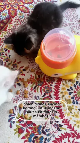 menarik la mainan cat feeder ni best dapat spend time dengan kucing korang 😍🫶🏻 #catfeeder #catgeedertoy #mainankucing #catlover #cattok #kucingviral 