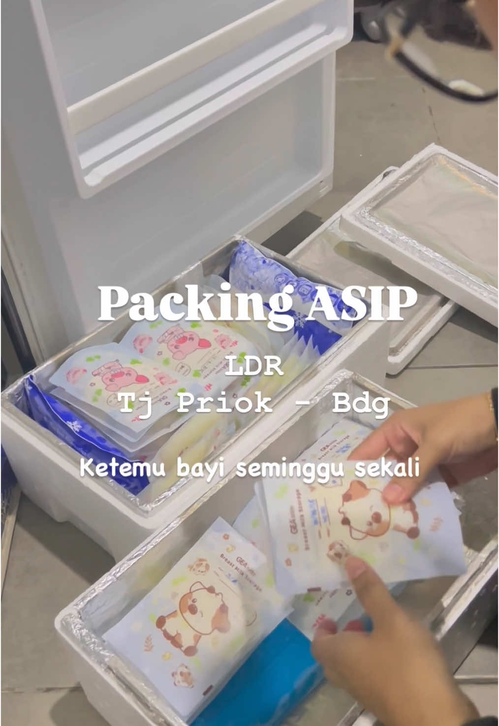 Kirim ASIP dari Jakarta-Bandung nyetir sendiri naik mobil. Ketemu bayi dan suami seminggu sekali.. SEMANGATTT!!! #ASIP #kirimASIP #packingASIP