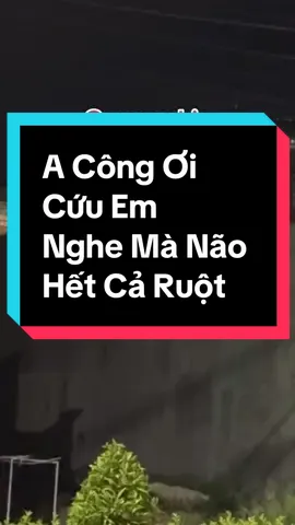 A Công Ơi Cứu Em  Nghe Mà Não Hết Cả Ruột  @DAILY ☑️  @DAILY ☑️  @DAILY ☑️ #Trending #trendingvideo #dailylife #daily #canhgiac #luadao #luadaoquamang #luadaochiemdoataisan #chuyenkhoannham #buonnguoisangcampuchia #canhgiacluadao #luadaodienluc #giamaogiaovien #campuchia #deepfake #giamaoshipper #giamaocongan #daolua #luadaotangqua 