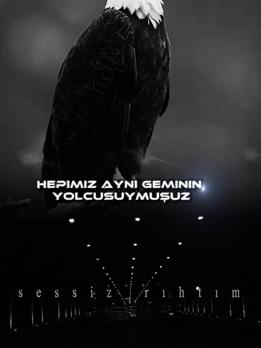 @AsiLbeymardin #kapaksözler #keşfetedüş 