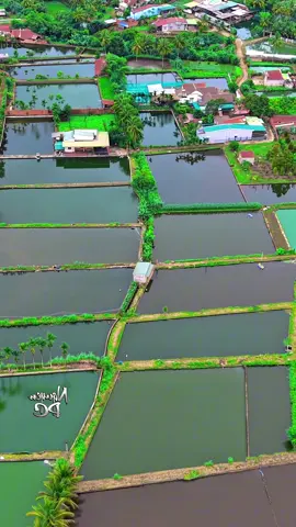 Khu nuôi cá hồ Ea Kao - Buôn Ma Thuột #flycamnguyenpc #nguyenpc #eakao_bmt_đăk_lăk 