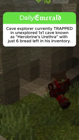 The moment that captivated the seed #dailyemerald #Minecraft #viral #gaming #minecraftmemes #minecraftmeme #minecrafters #fyp #fyppppppppppppppppppppppp 