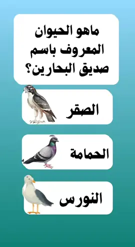 الغاز أتحداك تحلها 💪#ألغاز #أسئلة #ألغاز_للاذكياء #سؤال #سؤال_جواب #تحدي #fyp #viralvideo #tiktok #foryoupage 