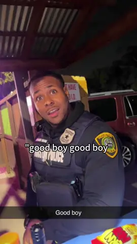 Good boy prank 😂 #scarecam #prank #scarepeople #funny #funnyprank #funnyvideo #viral #trending #fyp #haha #acting 