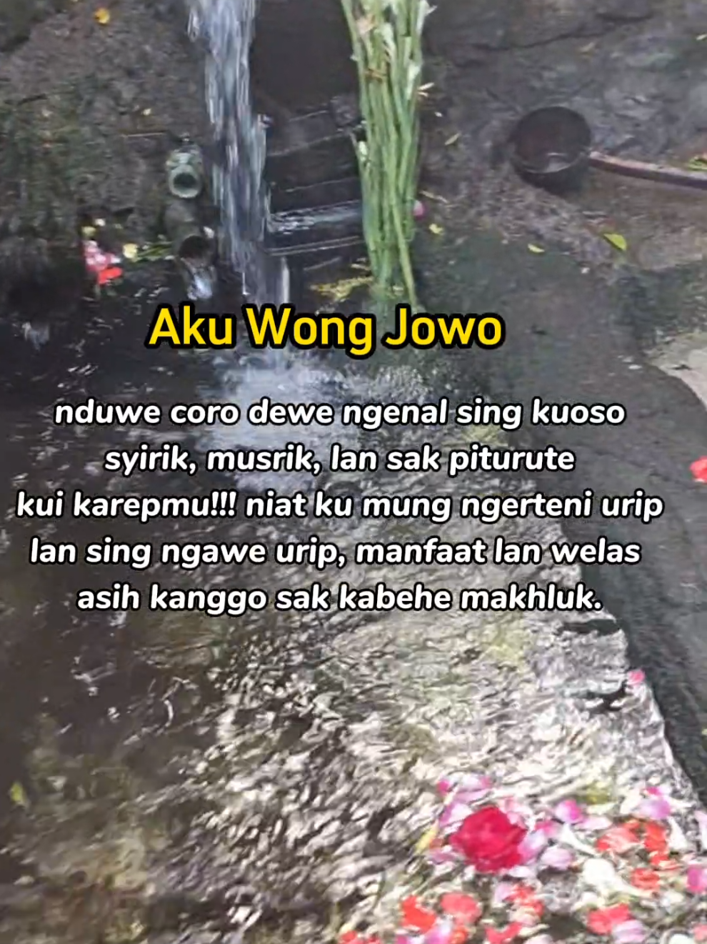 #rahayu #suran  #salamtoleransi #memayuhayuningbawono #fypage #fyp 