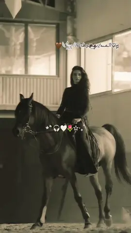 لا يعشق الخيل الا من يشبههاا في عزتههاا ... وعنادههاا ... ♡ وقوتههاا ... فلا يعشق الأصيله إلا الاصيل متله ♕ 