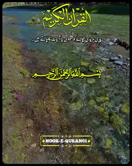 #burhan_tv #fyb #100k #500k #foryoupage #loveguru #Foryou #Foryou 