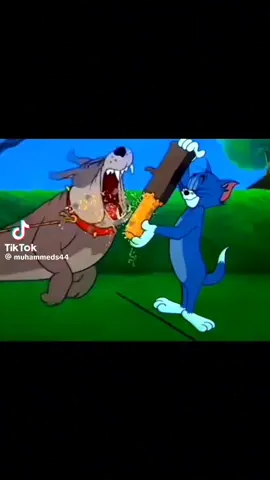 المصمم المحكوم  تصميمي  🎤🎬 سوري يا عين عمك  _مالي _خلق _حط _هشتاقات