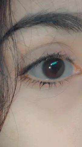 #🖤 