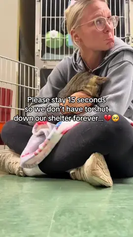 Anything helps ❤️‍🩹 #cat #shelter #totebag #help #handmade 