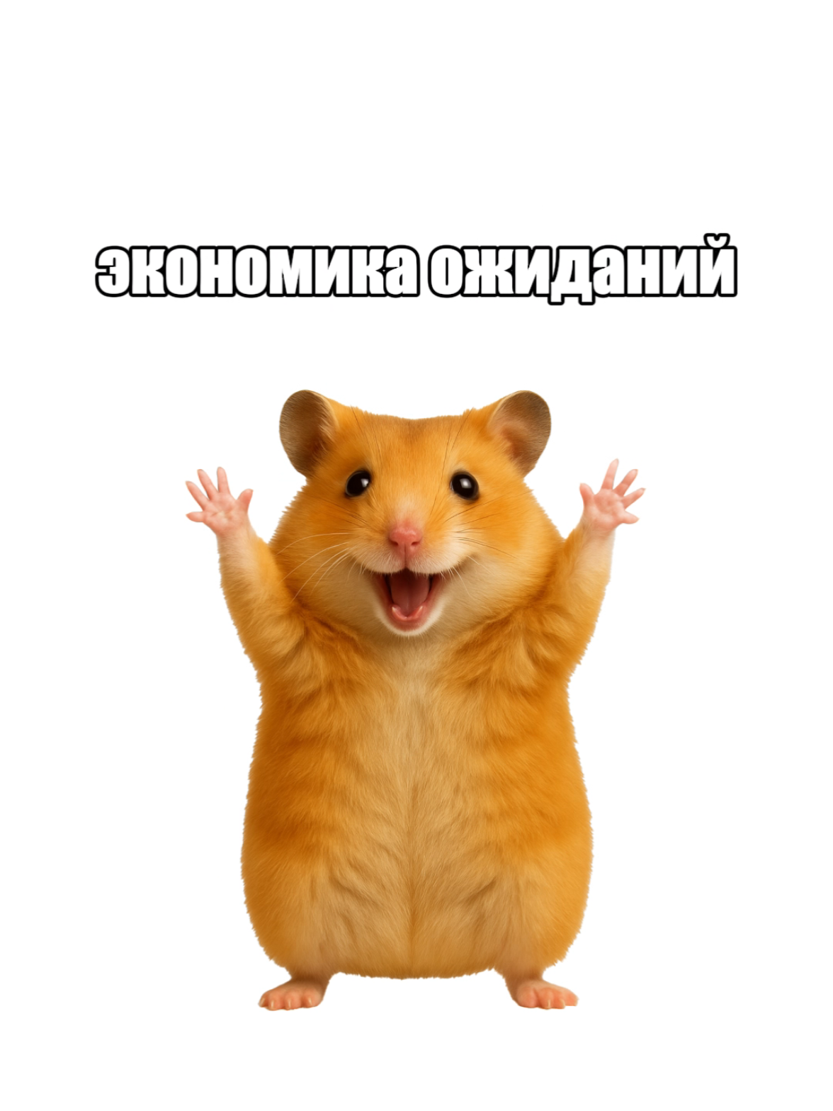 Что такое экономика ожиданий? #mrhumster #мрхамстер 
