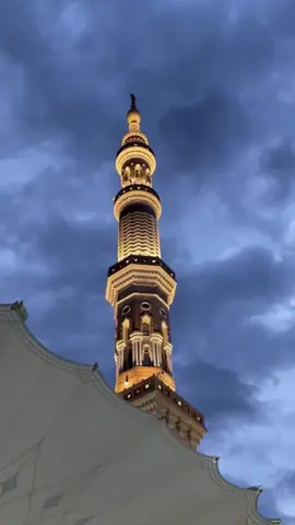 #أسرار_المدينة #madinah #المدينة #explore #trending #المسجد_النبوي #قباء #اسطوانة_عائشة #دليل #دعاء #استجابة_الدعاء 