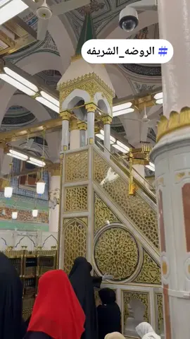 #اللهم_صل_وسلم_على_نبينا_محمد #صلوات_الله_عليك_يا_حبيبي_يا_رسول_الله #صلوا_على_رسول_الله #صلوا_على_رسول_الله🤲🕋 
