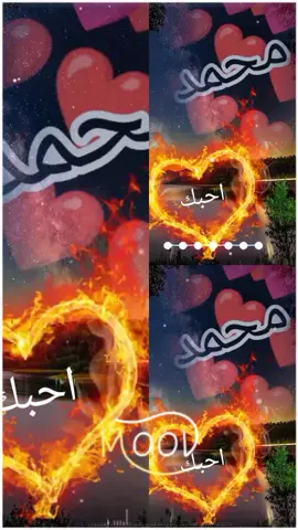 احبك احبك.....احبك احبك يروحي انته #احبك #روحي_يا_روحي #اموت #عليك #حبيبي❤️ #محمد #عافيتي #شعراء_وذواقين_الشعر_الشعبي #تصميم_فيديوهات🎶🎤🎬 #شعروقصايد #كلبي #اعشقك #بجنون #الحب #ابوي #يروحي #روحي_يا_روحي 
