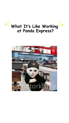 What it’s like working at Panda Express explained by kitty #explainedbycats #pandaexpress #catmemes #relatable #catanimation #adayinmylife #explainedbykitty #learning #Vlog 