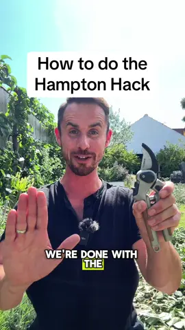 How to give your garden Hampton Hack Plants that are perfect for the hack include: Acanthus Alchemilla mollis Brunnera Centranthus Delphinium Early-flowering geraniums such as sylvaticum and phaeum Knautia Lupins Mint Monarda Oriental poppies Early-flowering salvias, such as Caradonna & Mainacht Veronica #gardening 