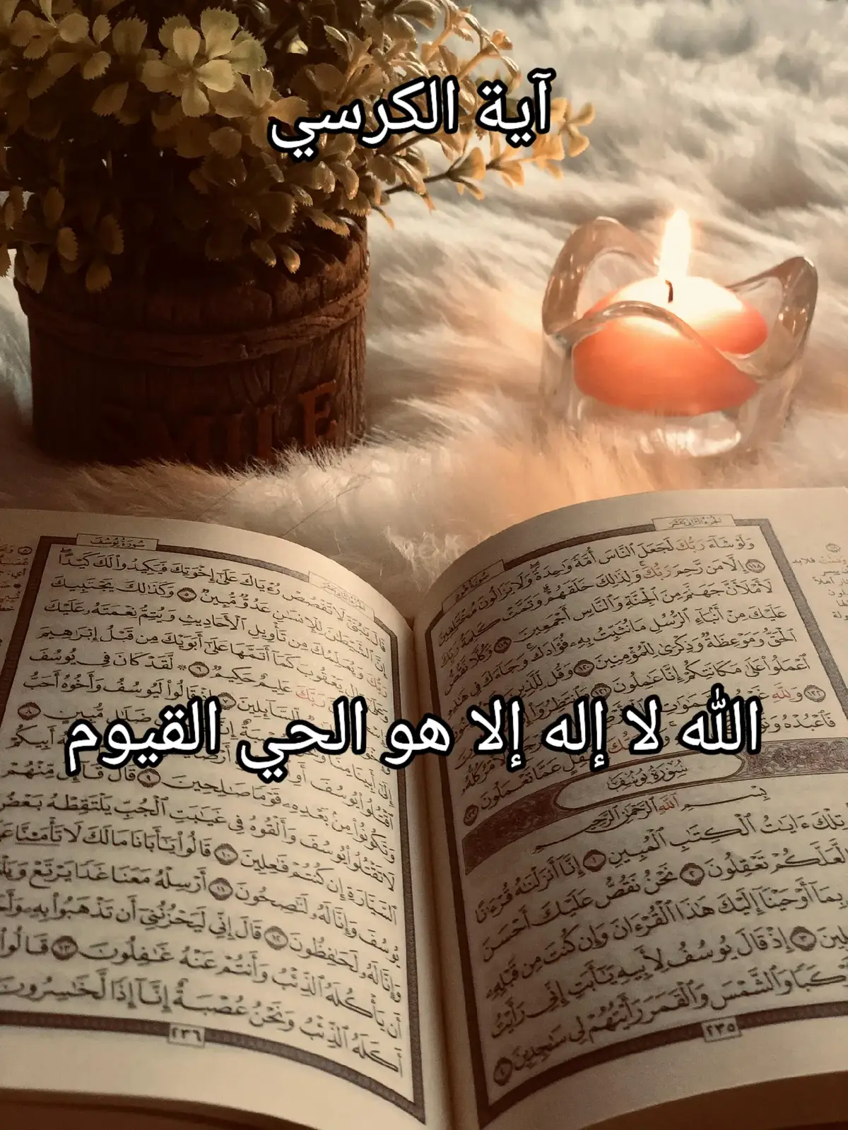 آية الكرسي وسورة الاخلاص وسورة الفلق وسورة الناس✨🤍🤲🏻 #اية_الكرسي #سعد_الغامدي #بسم_الله_الرحمن_الرحيم #اللهم_صلي_على_نبينا_محمد #fyp #ارح_سمعك_بالقران #راحه_نفسيه #تلاوات #اكتب_شي_توجر_عليه #اجر_لي_ولكم #foryou #ارح_قلبك_المتعب_قليلاً #كلام_من_القلب #دعاء #islamic_video #تلاوة_خاشعة #ارح_سمعك #حتى_يطمئن_قلبك #صلوا_على_رسول_الله #قران #viral  #الحمد_الله_داما_وابدا #viraltiktok #القران_الكريم_راحه_نفسية #viralvideo  #الا_بذكر_الله_تطمئن_القلوب #يوم_الجمعه_خيرا_من_كل_يوم #قران_كريم #quran 
