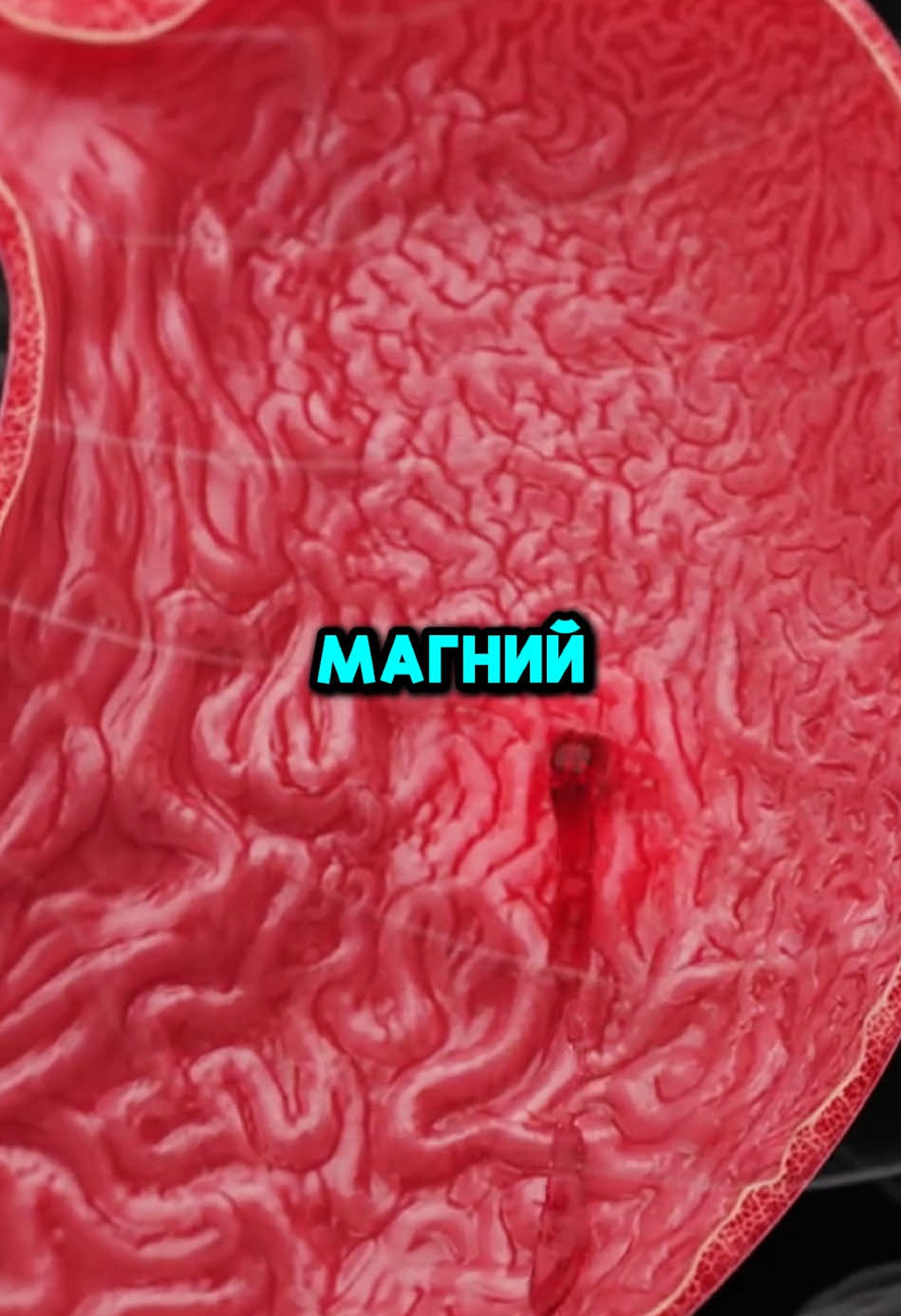 #магний #здоровье #польза 