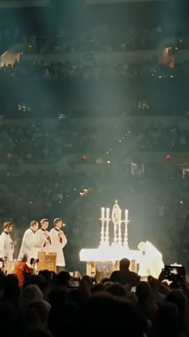 Embrace being Catholic! #catholic #christianity #eucharist #catholicism #jesus #god 