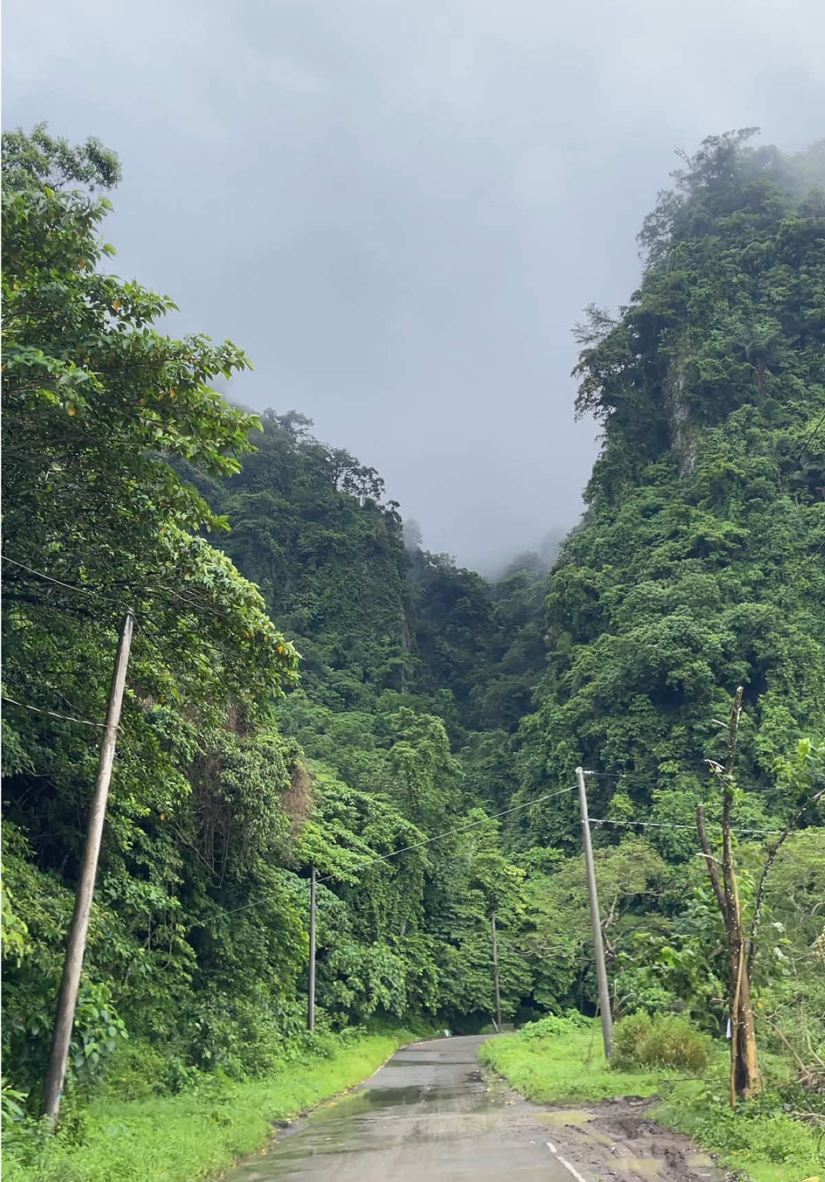 📍INFANTA, QUEZON PROVINCE sobrang ganda mo🥺❤️ 2-3 hours ride from manila #infanta #quezonprovince #couplerides #fyp #marilaque #lihimnalagusan #tanayrizal #longride #naturetrip🌲🍃 #rides #naturevibes #infantaquezon 