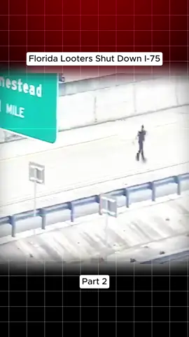 Florida Looters Shut Down I-75 part 2 #cops #police #law #audit #crime #fyb