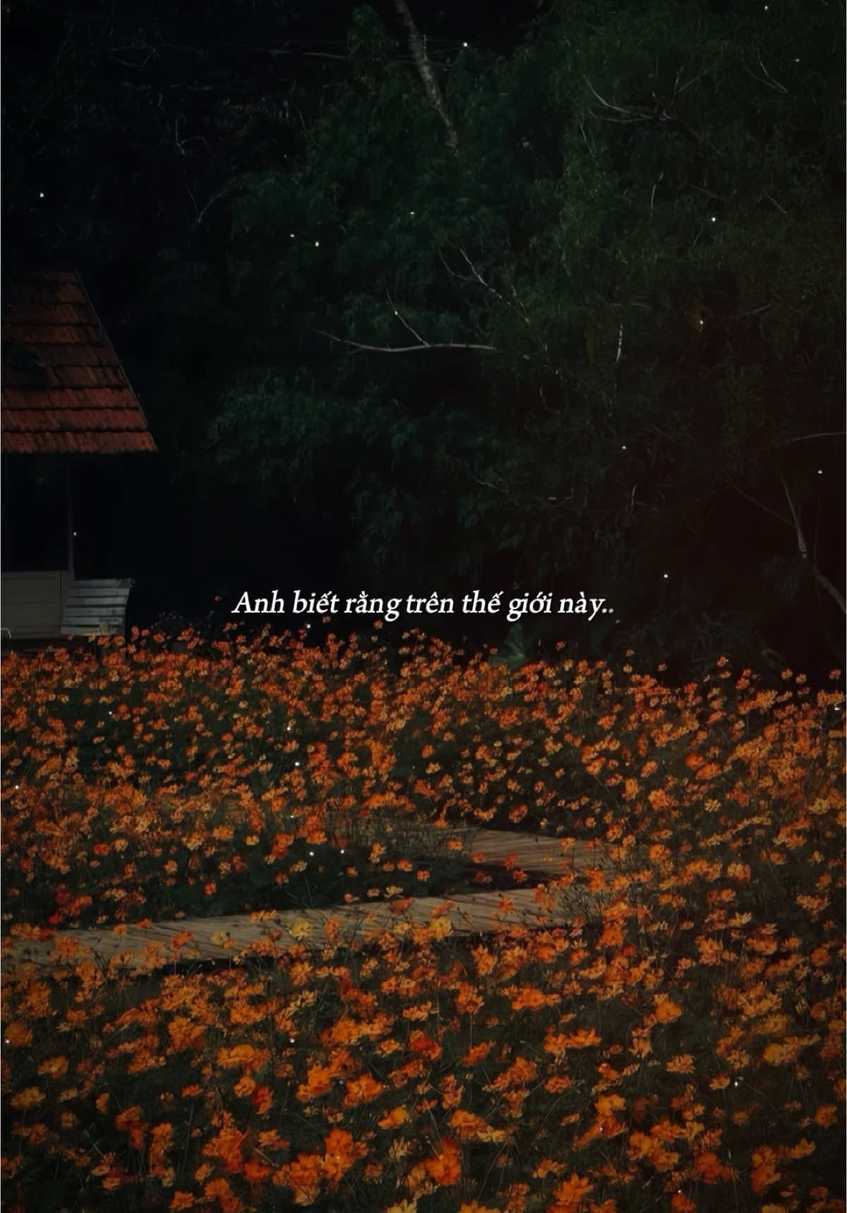 Kết quả vẫn là em.. #thànhlong05 #xh #daisucctt 
