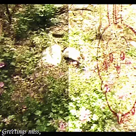 fatass neon kitchen - devon hendryx #devonhendryx #jpegmafia #nujabes #usagi #joechillworld #joeydchills #ghostpoptape #genY #67 #metaphoricalmusic #visual #usagi #chiikawa 