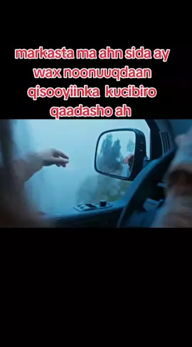 #capcutmotivacional capcut     #qisooyiinka#kucibro #qaadasho #mudan 