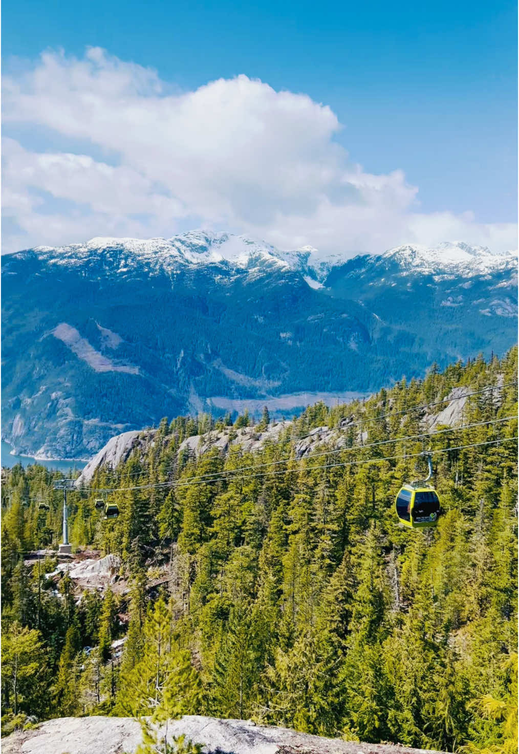 📍From Ocean Views to Mountain Highs — Sea to Sky Gondola is pure magic 🇨🇦✨ BC Canada #SeaToSkyGondola #BritishColumbia #ExploreBC #SquamishBC #CanadaTravel #NatureLovers #ScenicViews #BucketListTrip #trending #MountainVibes #viral #PacificNorthwest #TravelTok #adventuretime #viral  #suspensionbridge #alpinevibes #Summer #spring 