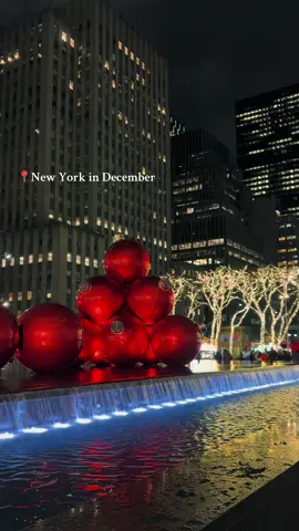143 days until the best time of year! #fyp #christmas #foryou #holidays #nycchristmas #xmascountdown 