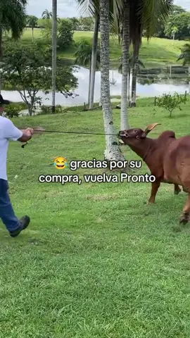 😂😂#geneticadecampeones 