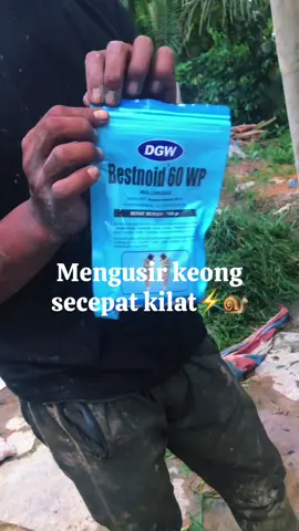 BESTNOID 60 WP 50 GRAM/PEMBASMI KEONG#racunkeong#bestnoidracunkecod#fyppppppppppppppppppppppp 