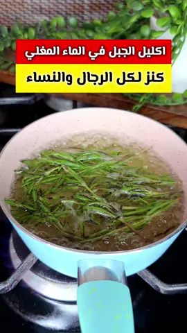 كنز أغلي من الكنز للرجال والنساء إكليل الجبل في الماء المغلي كنز أغلي من الكنز لا يريدونك أن تعرفه🤔 الله يسامح اللي عارف الفكرة دي ومقلش عليها لحد‼️ #ريلزات #وصفات #معلومات