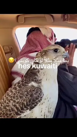 #قطر #الكويت #🇶🇦 #🇰🇼#قطروكويت #قطر_كويت #الشعب_الصيني_ماله_حل😂😂 #اكسبلور #الشعب_الصيني_ماله_حل😂😂 #الشعب_الصيني_ماله_حل😂😂 #اكسبلور #اكسبلور #explore #explore #explore #كويتيه💙🇰🇼 #الكويت🇰🇼 #الكويت #كويت_قطر #كويت#قطر#كويت#qatar #kuwait #kuwait #kuwait 