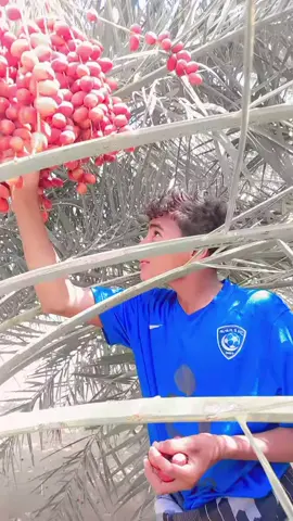 #اكسبلورررررررررررررررررررر💥🌟💥🌟💥💥🌟🌟🌟🌟🌟 #طلعوا 