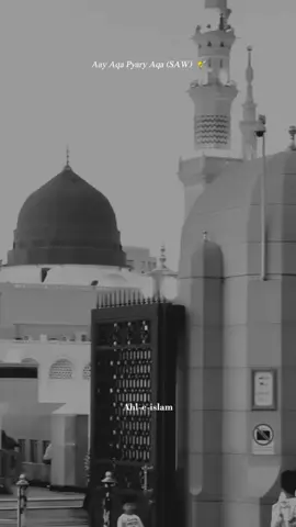 آئے آقا ﷺ مدنی آقا ﷺ۔ 💞✨ #islamic_video #naats #islamiccontent #islamicmedia #foryou #foryoupage #viraltiktok #tiktokviral #viralvideo #videoviral #viral #500k #fyp #fypage #fypシ゚ #whatsaapstatus #grow #dontunderreviewmyvideo #ahl_e_islam57 