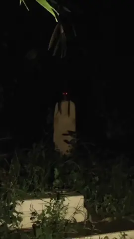 Two red lights are attached to the eyes 😱 #scaryvidio #ghost #horrorstories #creepy #horrorvideos #ghostscary #ghosthunter 