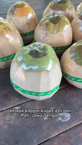 Produk kami dikupas bersih dan dikemas rapi, siap kirim ke seluruh Indonesia. #fyp #kopyorpati #kelapakopyor #segerbanget #tiktokshopindonesia
